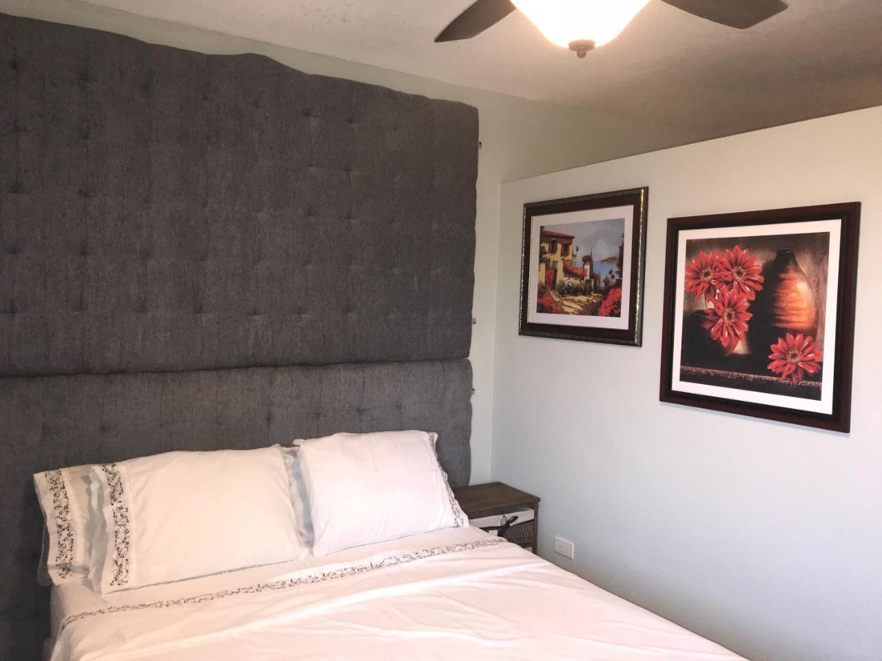 Abacus Jamaica The Zana Suites Kingston Bagian luar foto